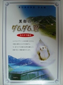 �_���_���N